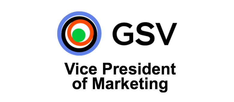 vice president digital marketing gsv
